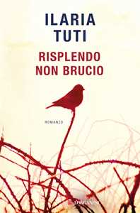 Libro Risplendo non brucio Ilaria Tuti