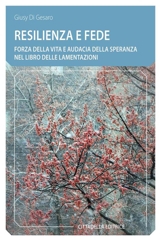 Resilienza e fede. Forza della vita e audacia della speranza nel Libro delle Lamentazioni - Giusy Di Gesaro - copertina