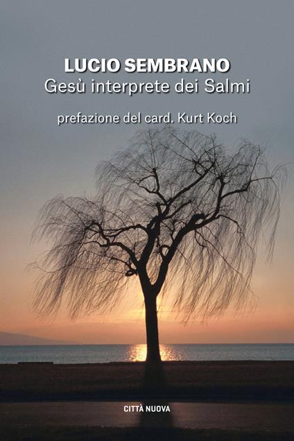 Gesù interprete dei Salmi. Fedeltà alla tradizione e novità di senso - Lucio Sembrano - copertina