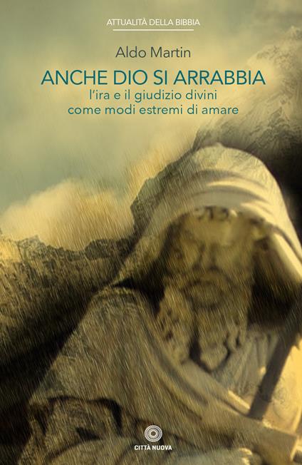 Anche Dio si arrabbia. L'ira e il giudizio divini come come modi estremi di amare - Aldo Martin - copertina