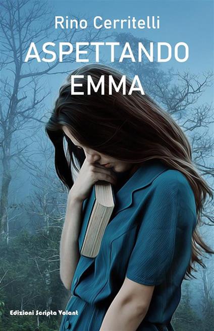 Aspettando Emma - Rino Cerritelli - ebook