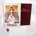 Labyrinth, il Gioco d'Avventura. GDR - ITA. Gioco da tavolo