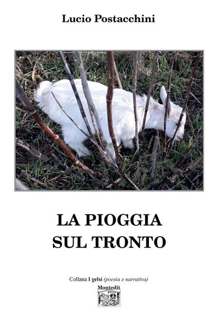 La pioggia sul Tronto - Lucio Postacchini - copertina