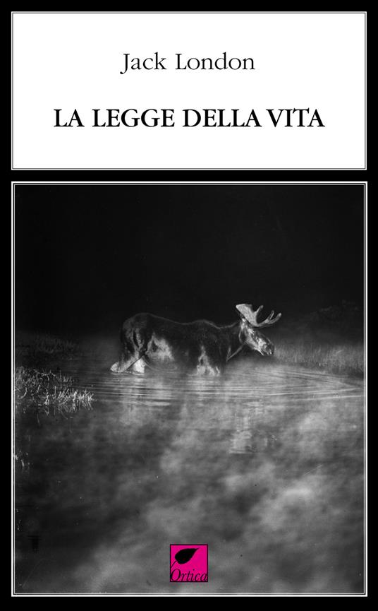 La legge della vita. Ediz. integrale - Jack London - copertina