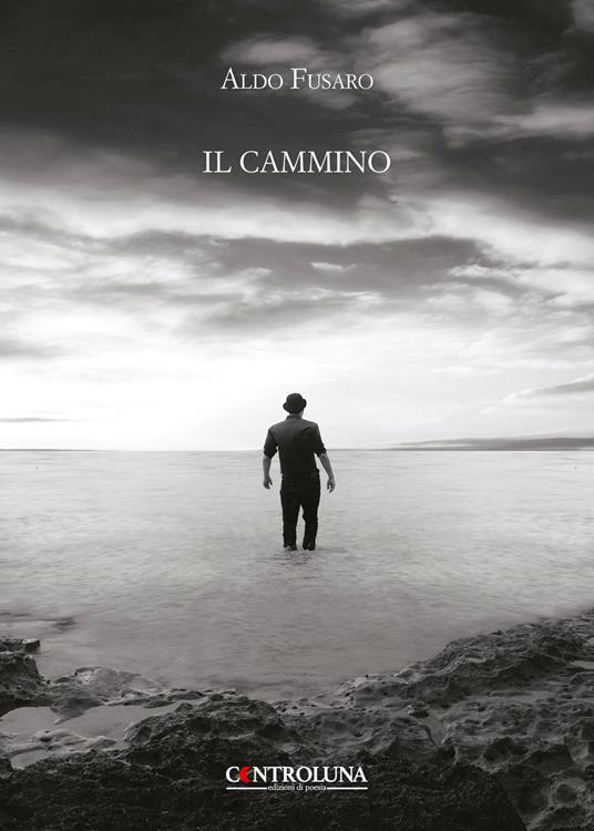 Il cammino - Aldo Fusaro - copertina