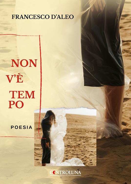 Non v'è tempo - Francesco D'Aleo - copertina