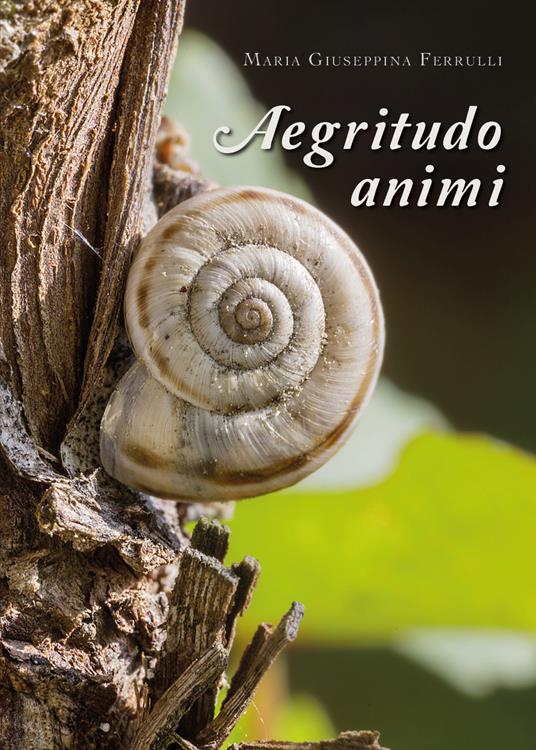 Aegritudo animi - Maria Giuseppina Ferrulli - copertina