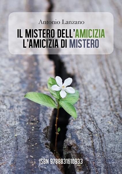 Il mistero dell'amicizia l'amicizia di mistero - Antonio Lanzano - copertina