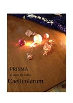 PRISMA - Caelicolarum