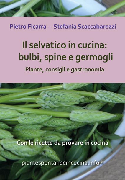 Il selvatico in cucina: bulbi, spine e germogli. Piante, consigli e gastronomia - Pietro Ficarra,Stefania Scaccabarozzi - copertina