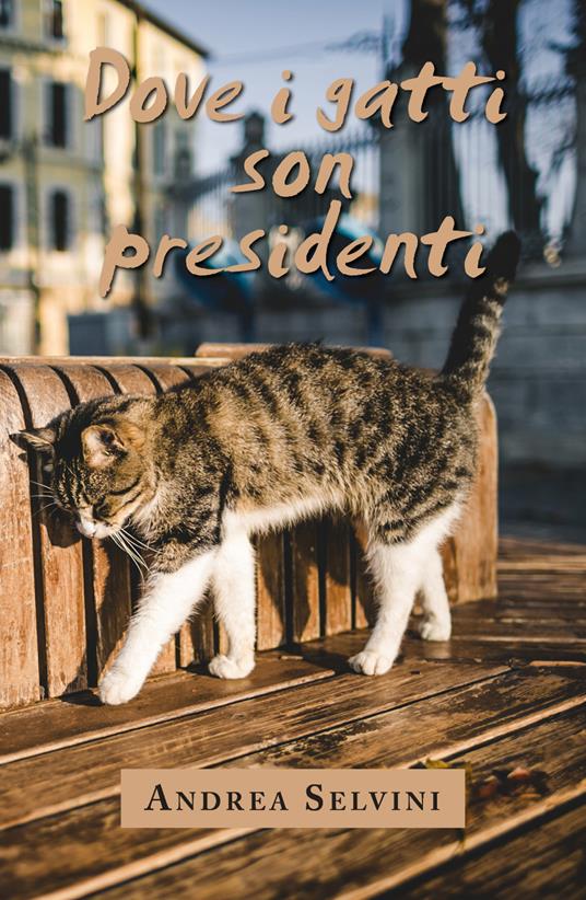 Dove i gatti son presidenti - Andrea Selvini - copertina