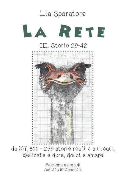 La rete. Storie III 29-42, da KM 800-279 storie reali e surreali, delicate e dure, dolci e amare - Lia Sparatore - copertina