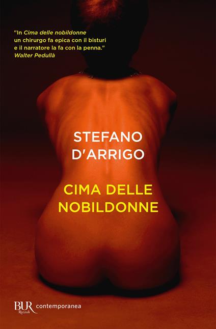 Cima delle nobildonne - Stefano D'Arrigo - ebook