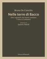 Nelle terre di Bacco. Dieci vignaioli che hanno cambiato il vino in Campania