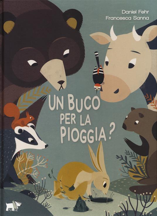 Un buco per la pioggia? Ediz. a colori - Daniel Fehr - copertina