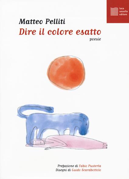 Dire il colore esatto - Matteo Pelliti - copertina