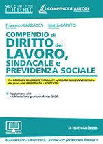 Compendio di diritto del lavoro, sindacale e della previdenza sociale. Con aggiornamento online