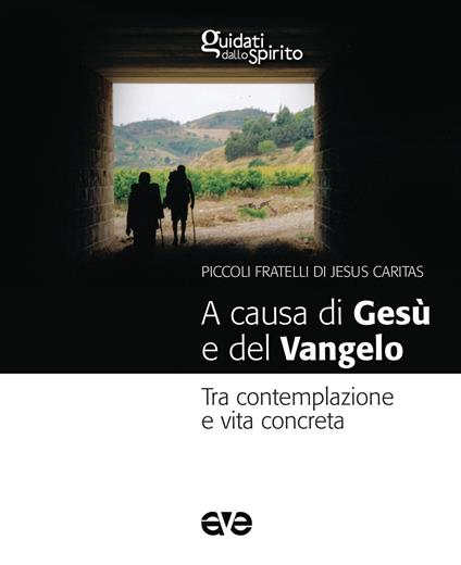 A causa di Gesù e del Vangelo. Tra contemplazione e vita concreta - Gabriele Faraghini - copertina