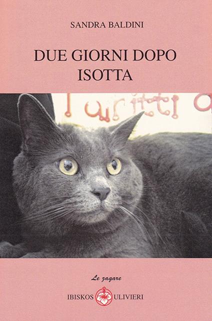 Due giorni dopo Isotta - Sandra Baldini - copertina