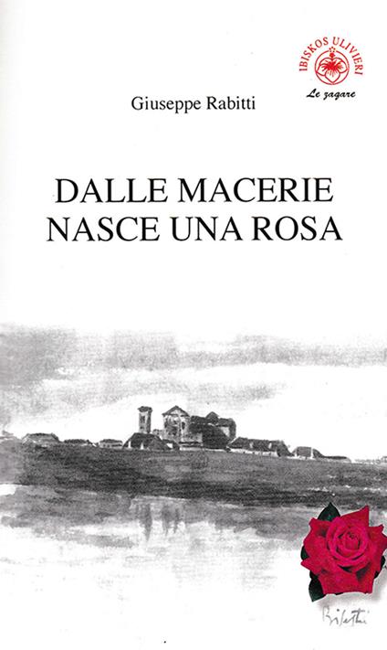 Dalle macerie nasce una rosa - Giuseppe Rabitti - copertina