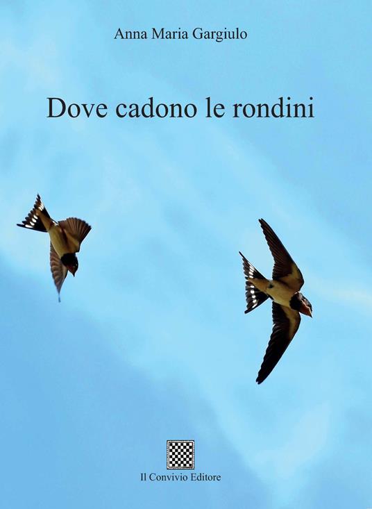 Dove cadono le rondini - Anna Maria Gargiulo - copertina