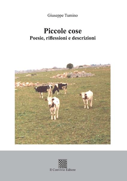 Piccole cose. Poesie, riflessioni e descrizioni - Giuseppe Tumino - copertina