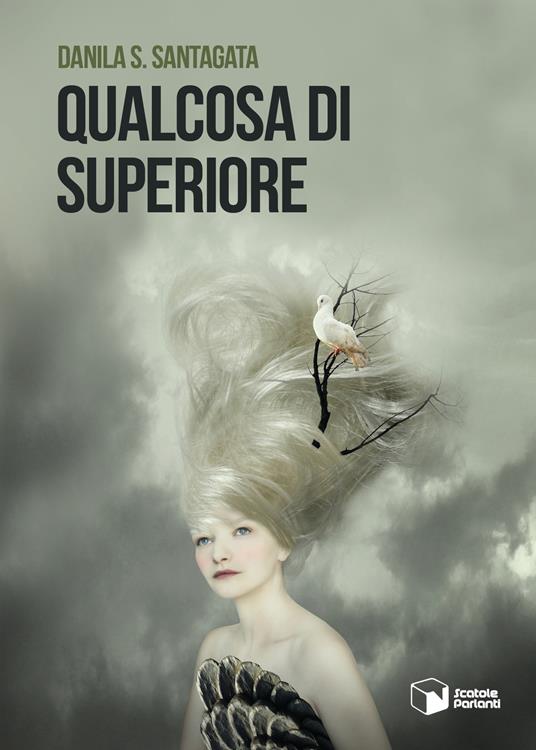 Qualcosa di superiore - Danila S. Santagata - copertina