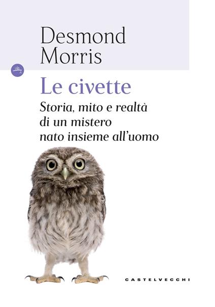 Civette. Storia, mito e realtà di un mistero nato insieme all'uomo - Desmond Morris - copertina