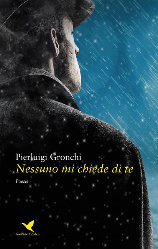 Nessuno mi chiede di te - Pierluigi Gronchi - copertina