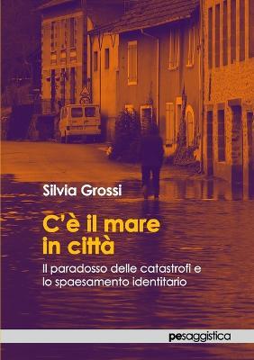 C’è il mare in città. Il paradosso delle catastrofi e lo spaesamento identitario - Silvia Grossi - copertina