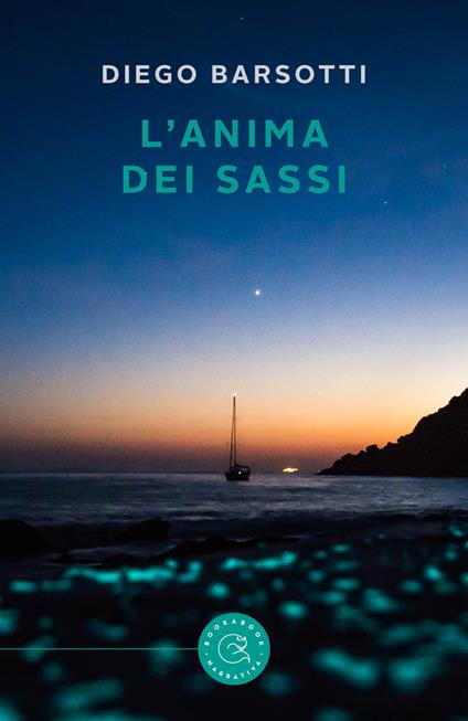 L' anima dei sassi - Diego Barsotti - copertina
