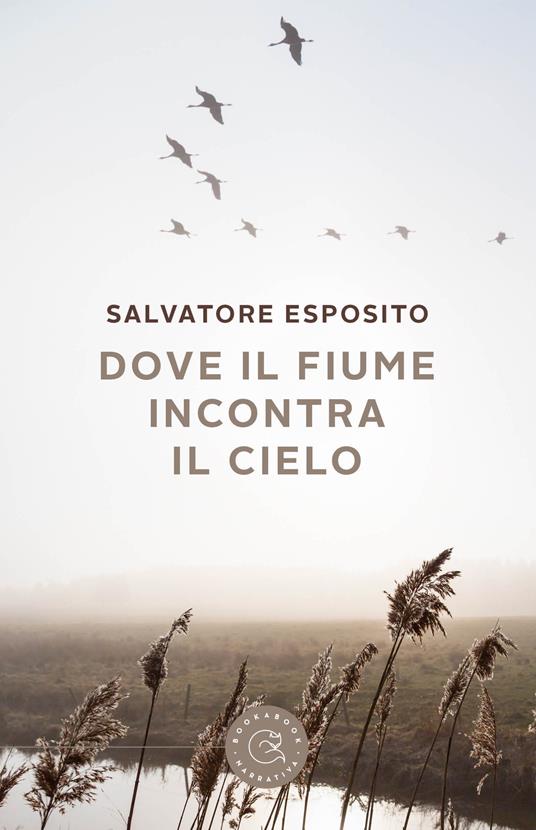 Dove il fiume incontra il cielo - Salvatore Esposito - copertina