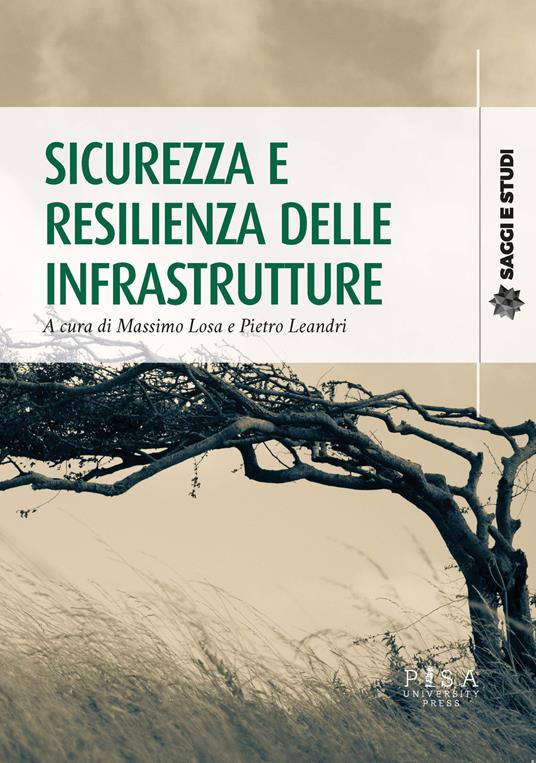 Sicurezza e resilienza delle infrastrutture - copertina