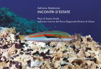 Incontri d'estate: pesci di basso fondo nell'area marina del Parco Regionale Riviera di Ulisse - Adriano Madonna - copertina