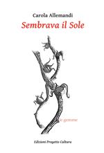 Sembrava il Sole