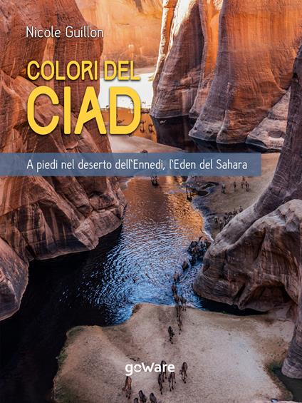 Colori del Ciad. A piedi nel deserto dell'Ennedi, l'Eden del Sahara - Nicole Guillon - ebook