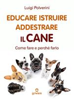 Educare, istruire, addestrare il cane. Come fare e perché farlo