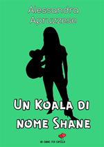 Un koala di nome Shane