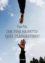 Che fine ha fatto quel clandestino?