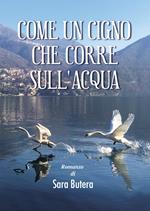 Come un cigno che corre sull'acqua