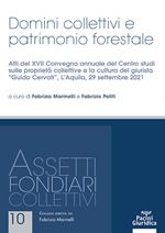 Domini collettivi e patrimonio forestale. Atti del XVII Convegno annuale del Centro studi sulle proprietà collettive e la cultura del giurista «Guido Cervati» (L'Aquila, 29 settembre 2021)