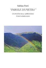 Parole di pietra. Un ponte sull'appennino tosco emiliano