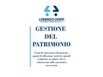 Gestione del patrimonio. Cenni di educazione finanziaria, spunti di riflessione tratti da episodi realmente accaduti e breve vademecum sulla normativa successoria