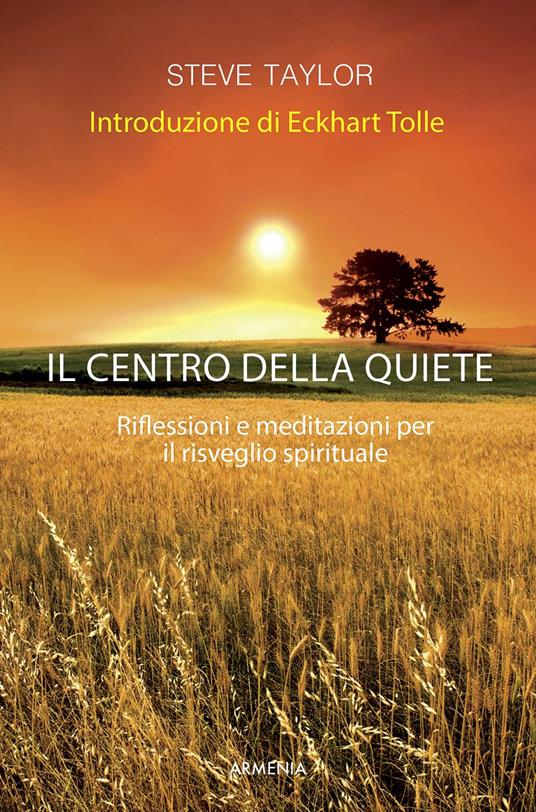 Il centro della quiete. Riflessioni e meditazioni per il risveglio spirituale - Steve Taylor - copertina