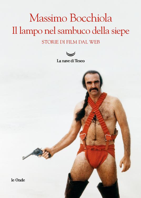 Il lampo nel sambuco della siepe. Storie di film dal web - Massimo Bocchiola - copertina