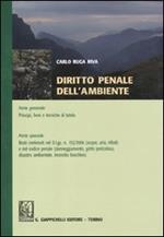 Diritto penale dell'ambiente