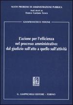 L' azione per l'efficienza nel processo amministrativo: dal giudizio sull'atto a quello sull'attività