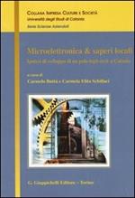 Microelettronica & saperi locali. Ipotesi di sviluppo di un polo high-tech a Catania