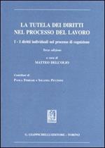 La tutela dei diritti nel processo del lavoro. Vol. 1: I diritti individuali nel processo di cognizione.