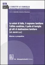 Il diritto di famiglia nella dottrina e nella giurisprudenza. Vol. 5: Le unioni di fatto, il cognome familiare, l'affido condiviso, il patto di famiglia, gli atti di destinazione familiare. Riforme e prospettive.